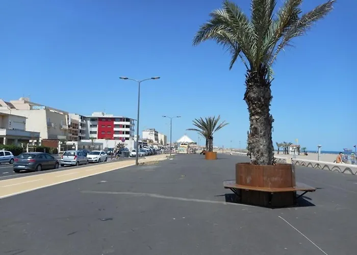 Narbonne-plage : T2 Climatise, Balcon, Parking, A 100m De La Plage, Commerces A Proximite - Fr-1-795-12 Narbonne