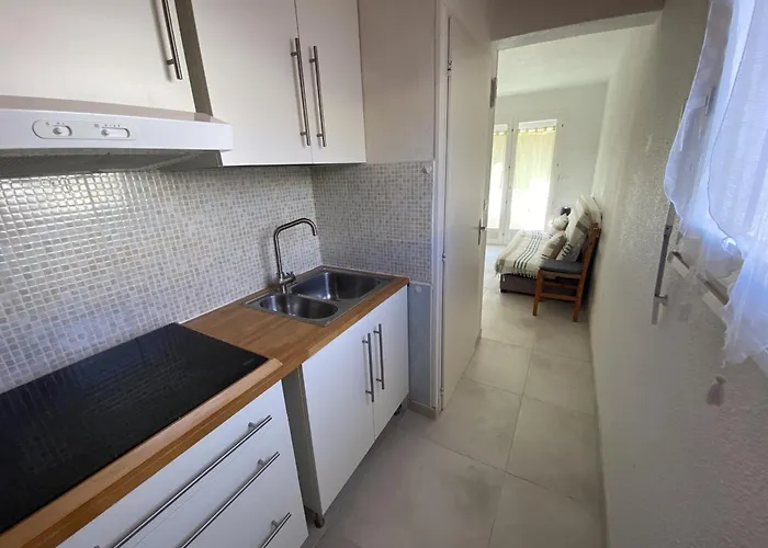 Narbonne-plage : T2 Climatise, Balcon, Parking, A 100m De La Plage, Commerces A Proximite - Fr-1-795-12 Narbonne